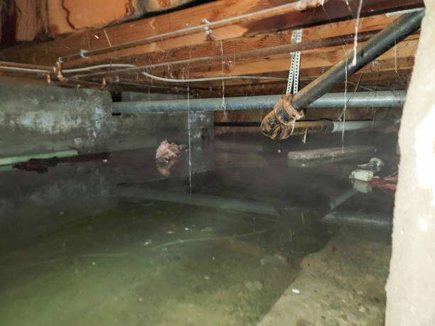 Best Water damage restoration near me  in USA